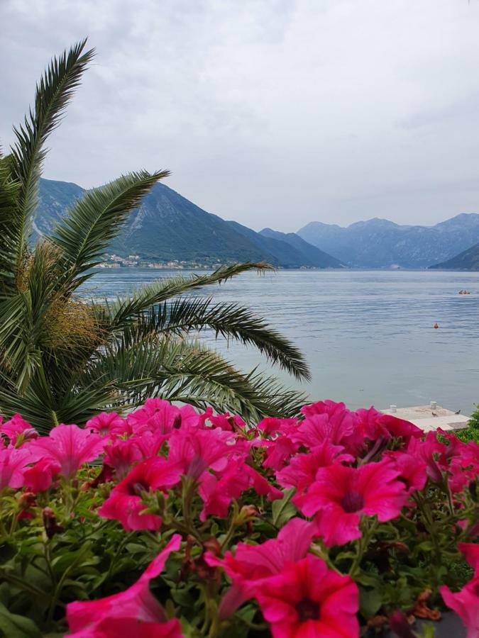 Apartment Maniva Kotor Rum bild
